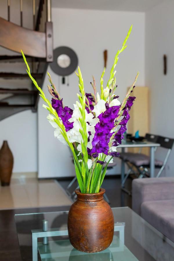 Apartments Wroclaw Manganowa By Noclegi Renters מראה חיצוני תמונה